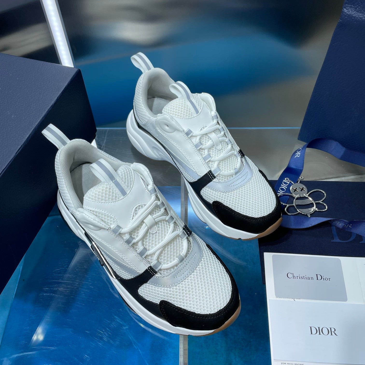 Dior b22