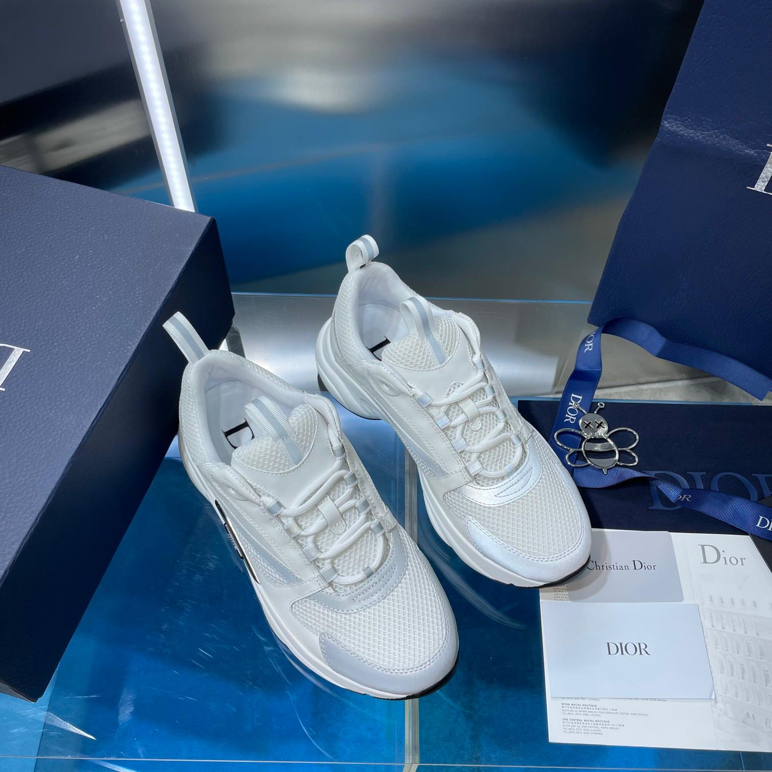 Dior b22