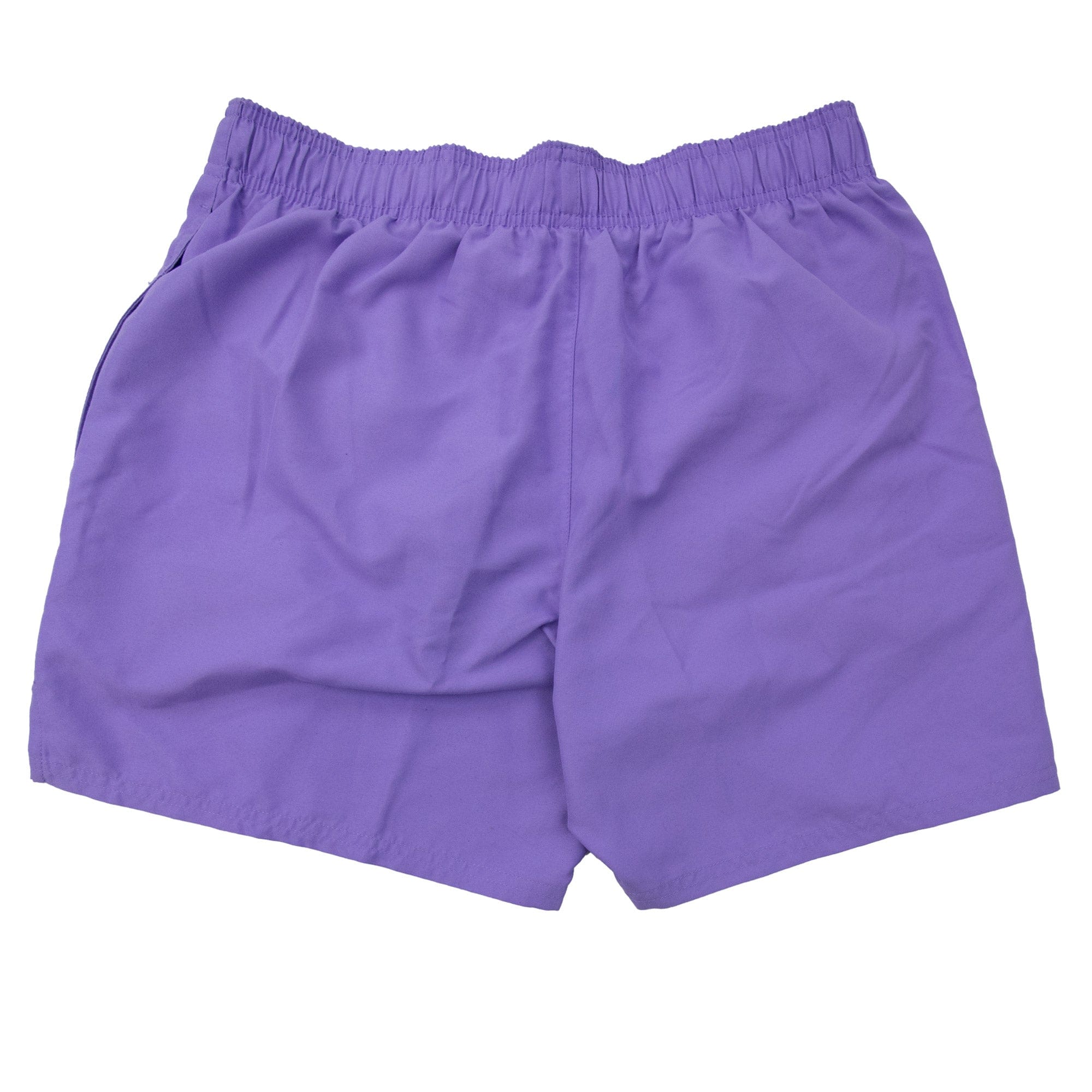 Swim Shorts Purple Medium
