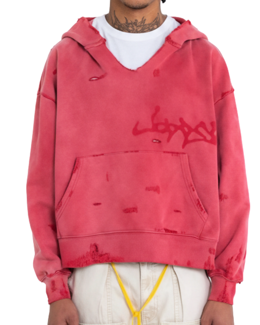 RECYCLED HOODIE BRICK WASHED RED