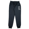 EA7 Train Visibility Closed Bottom Pants Darkslate