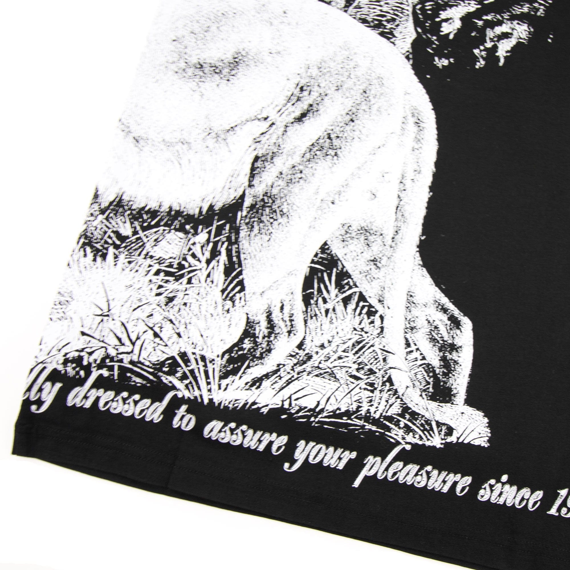 Vivienne Westwood Anglomania Lion Print T-shirt Black 900