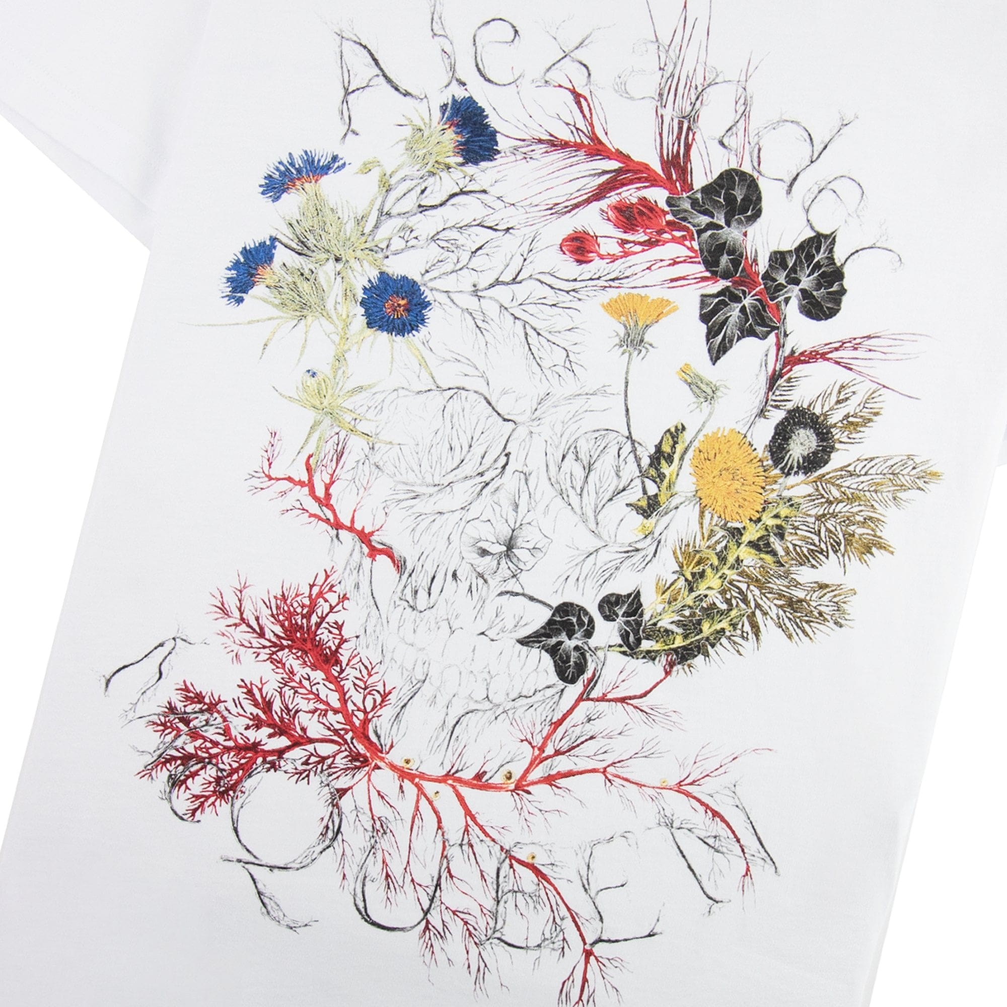 Alexander McQueen Glowing Botanical Skull T-shirt White