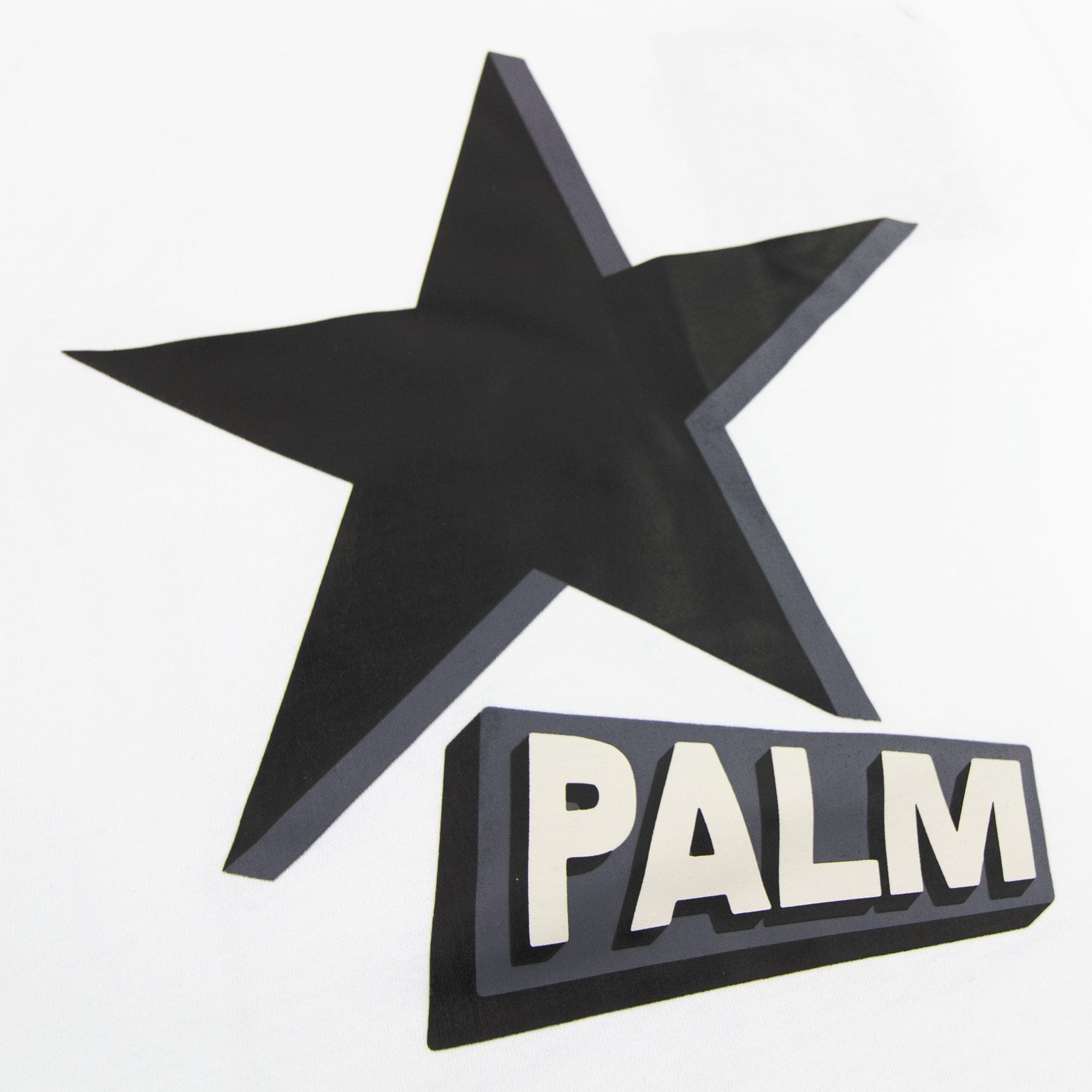 Palm Angels Rockstar Over Reglan T Shirt White/black