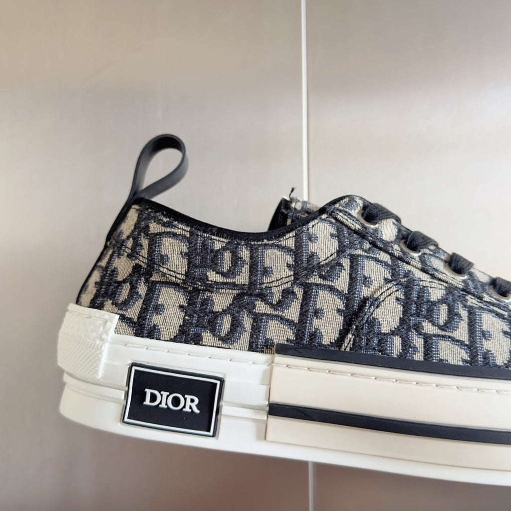 Dior b23