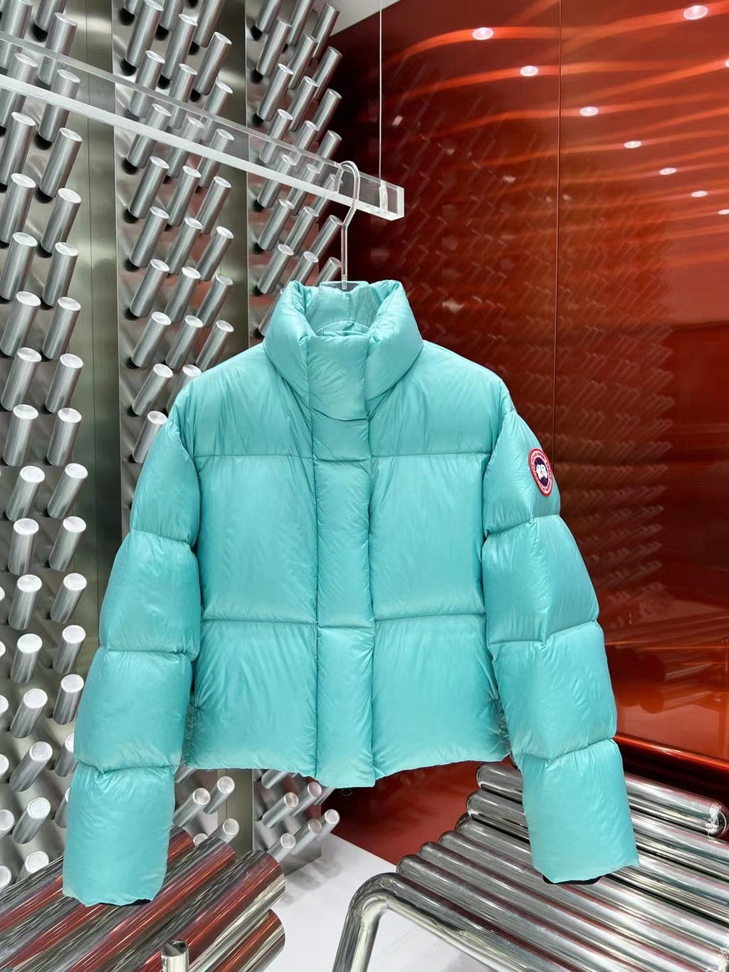 Canada Goose