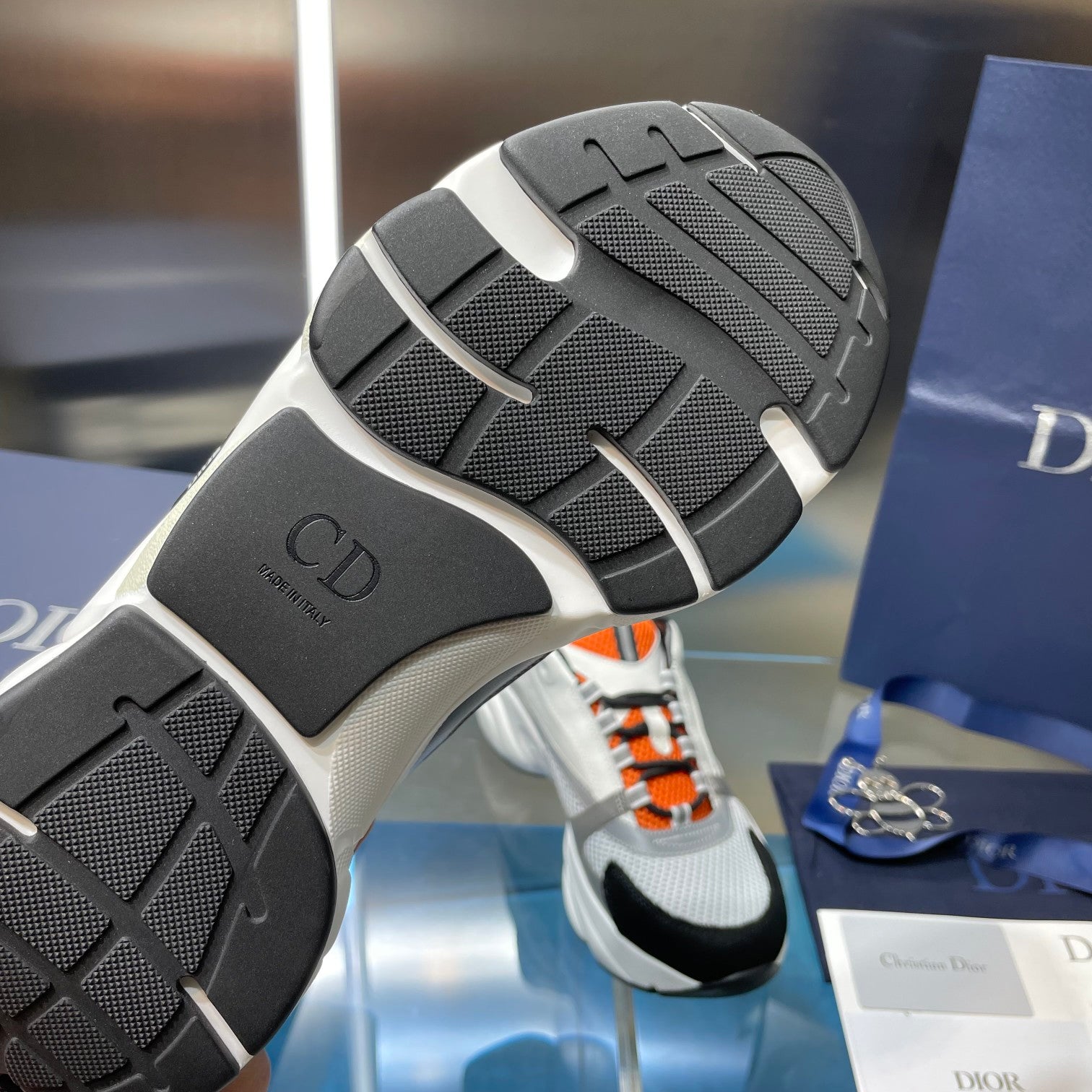 Dior b22