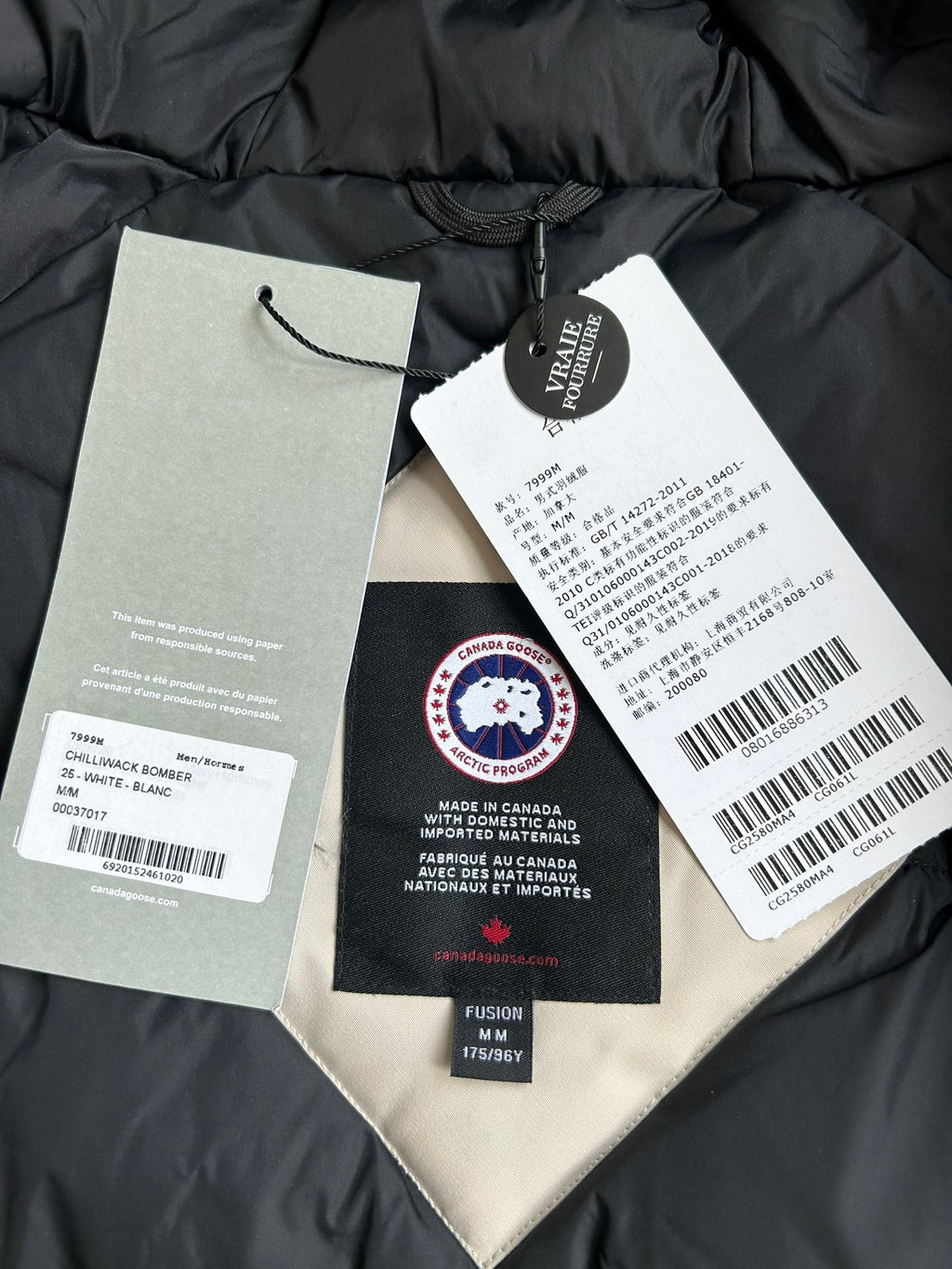Canada Goose