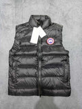 Smanicato Canada Goose