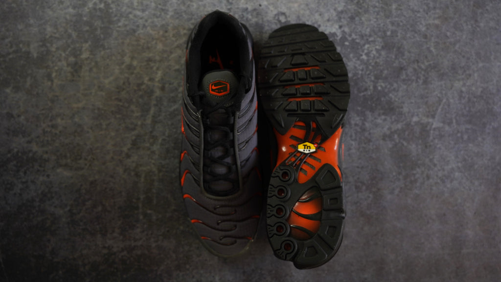Nike TN Airmax Plus (46)