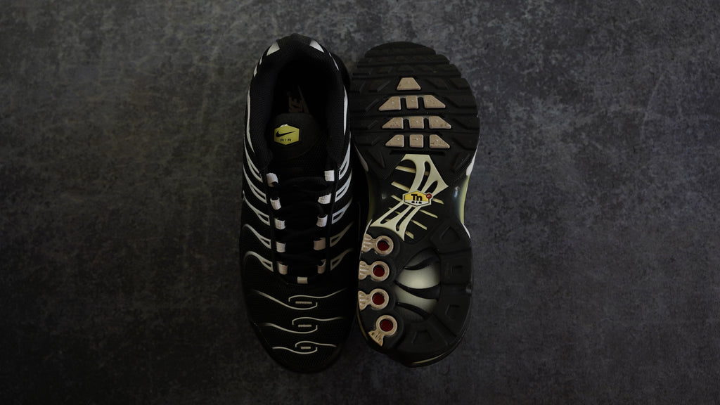 Nike TN Airmax Plus (42)