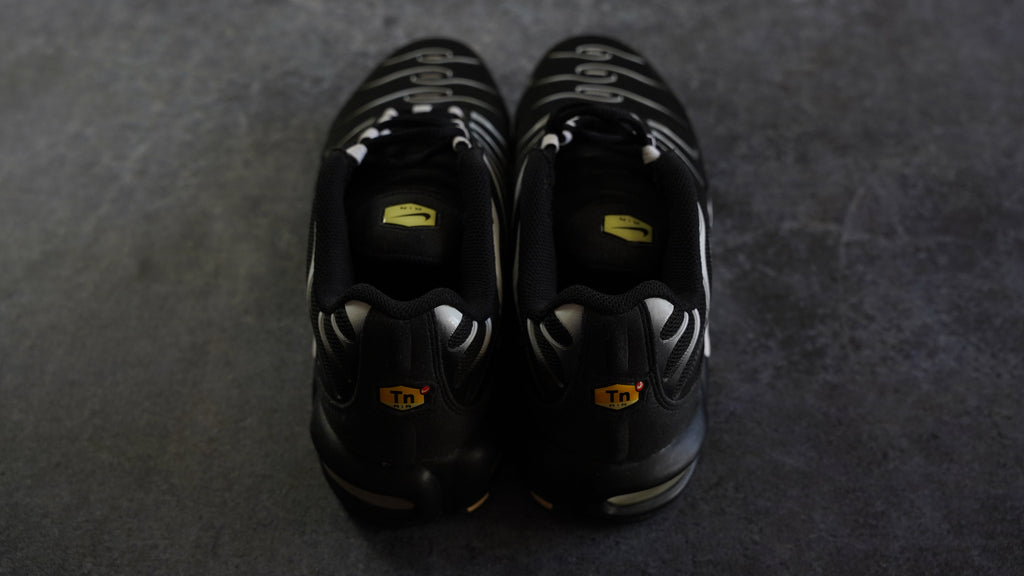 Nike TN Airmax Plus (42)