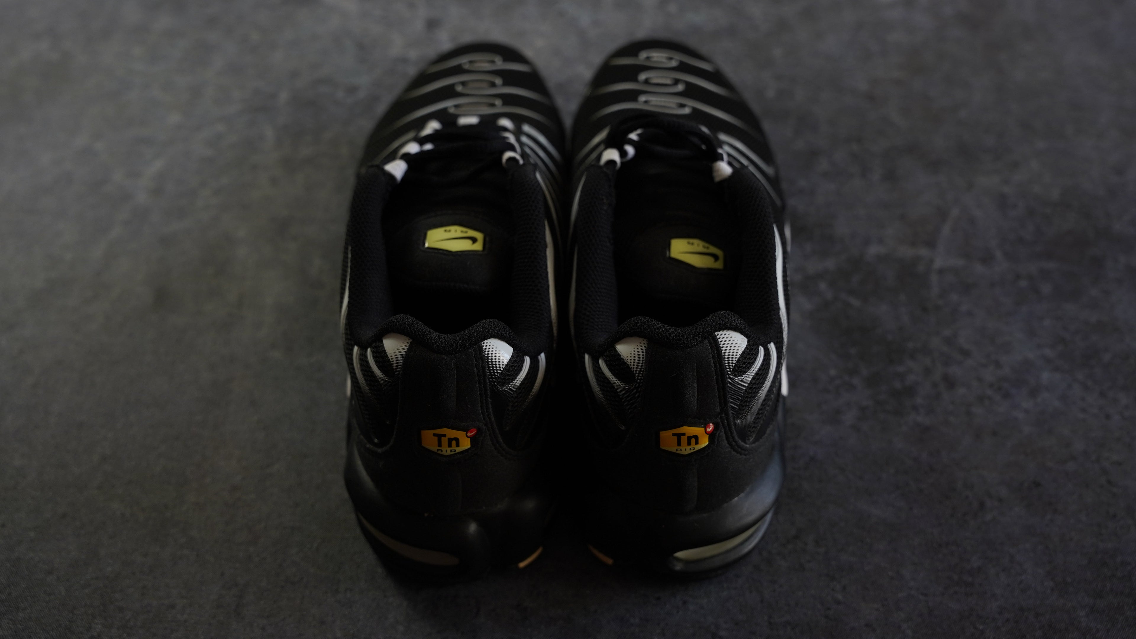 Nike TN Airmax Plus (42)