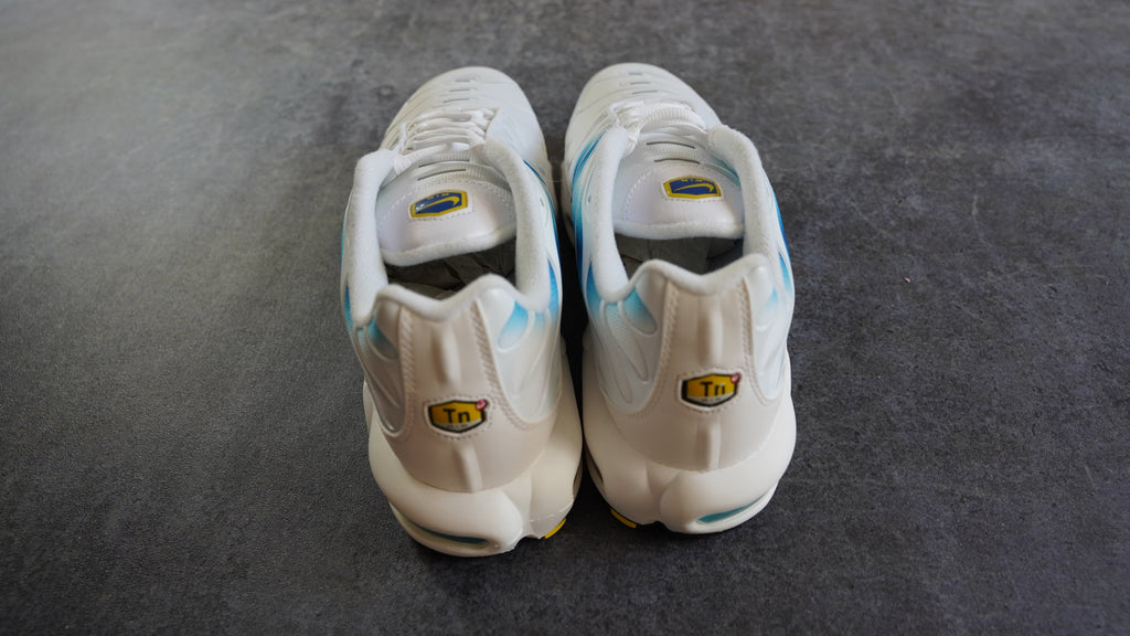 Nike TN Air Max Plus Spray Paint Swoosh White Blue (44)