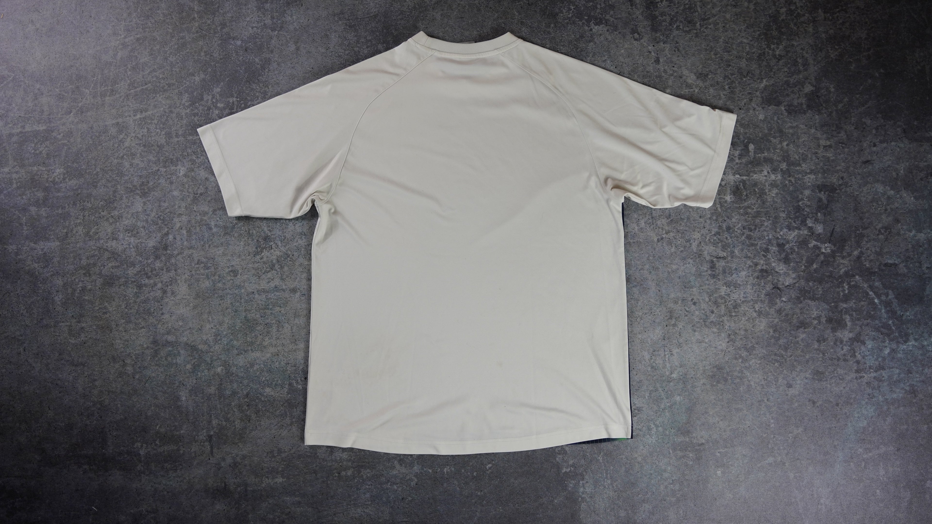 Nike Shirt (L)