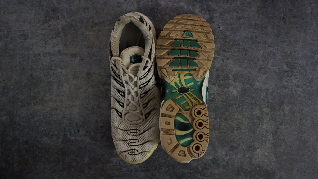 Nike TN Air Max Plus 'Dusty Cactus' (43)