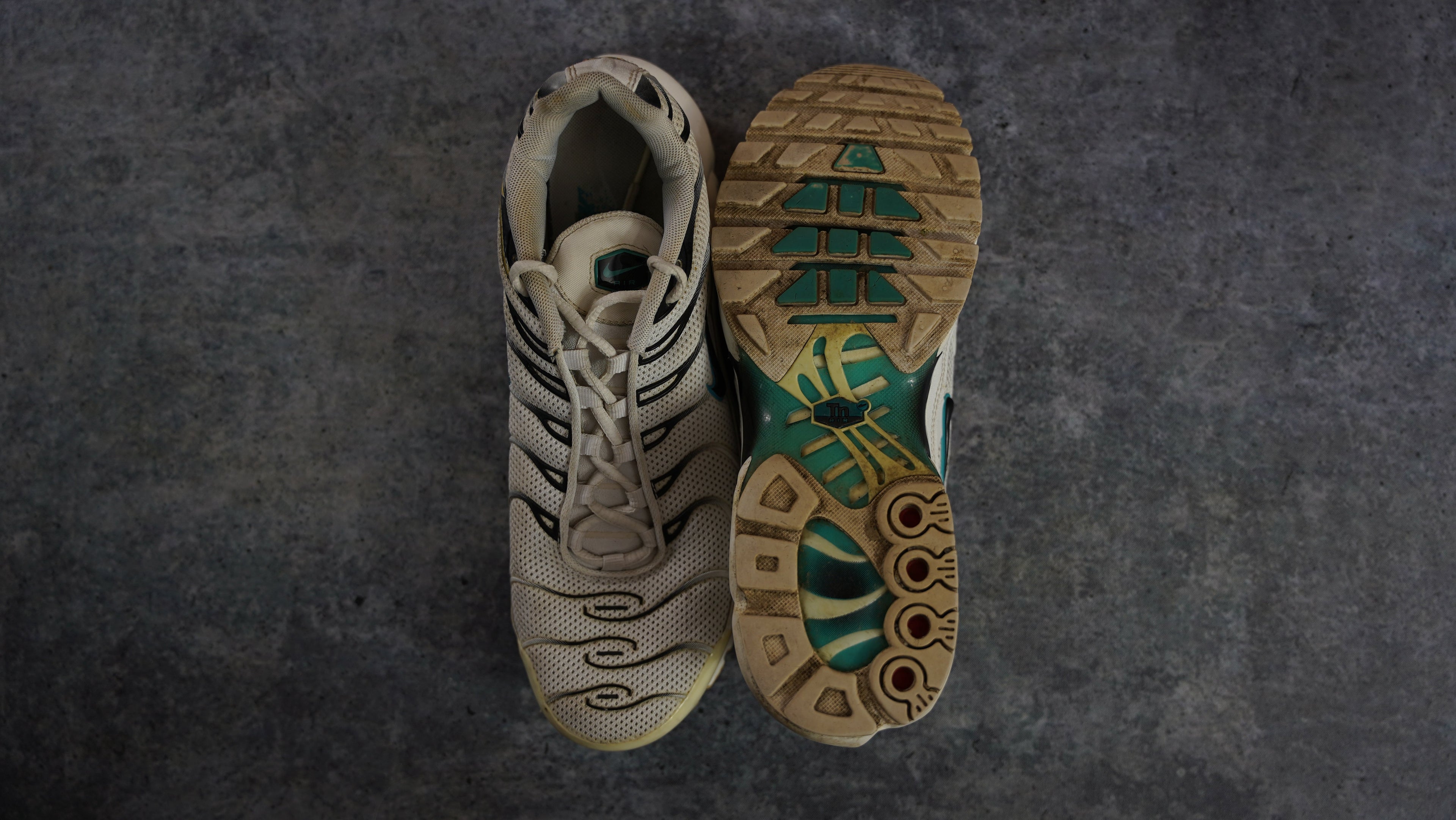 Nike TN Air Max Plus 'Dusty Cactus' (43)
