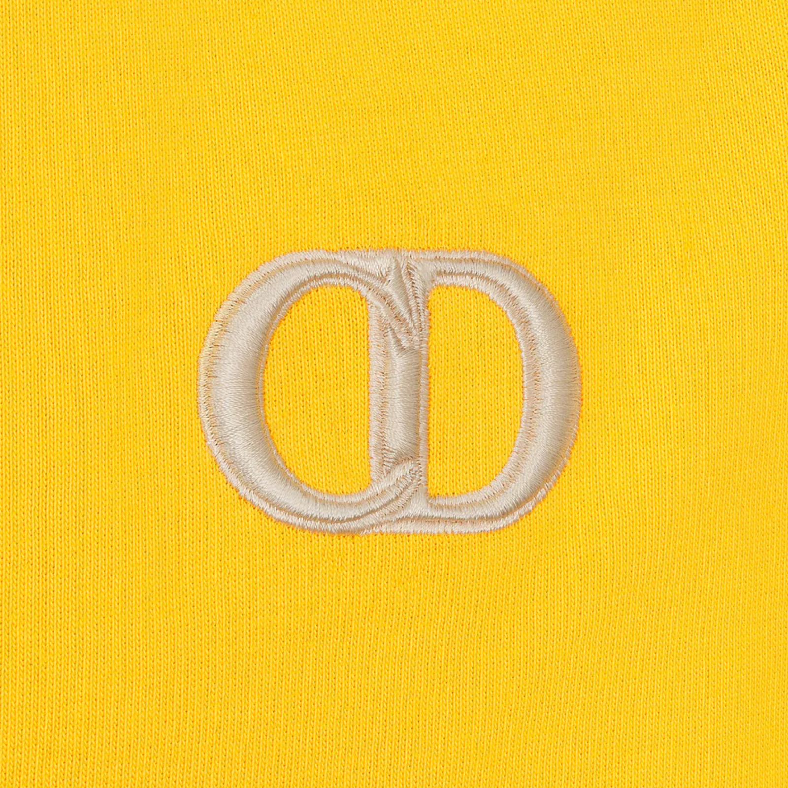 Christian Dior Logo Hoodie