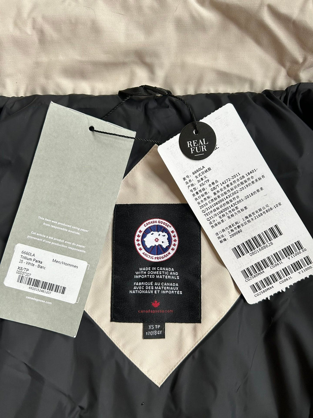 Canada Goose