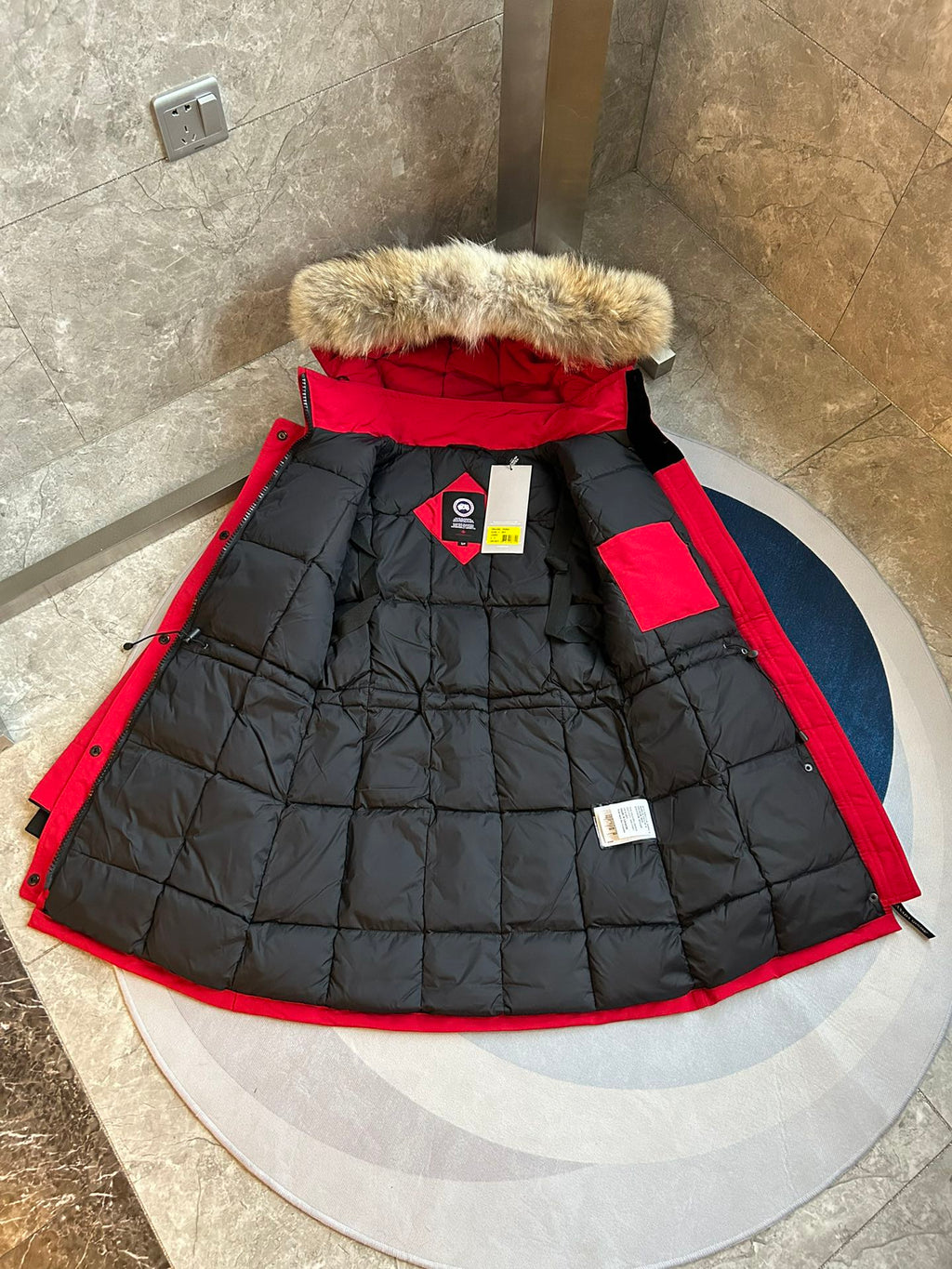 Canada Goose