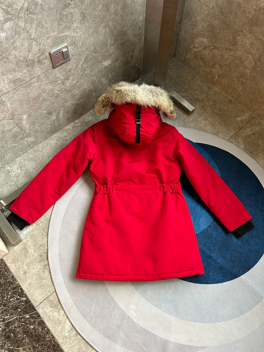 Canada Goose