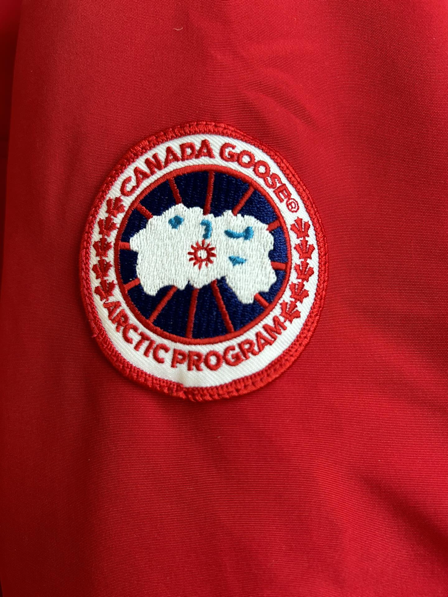 Canada Goose