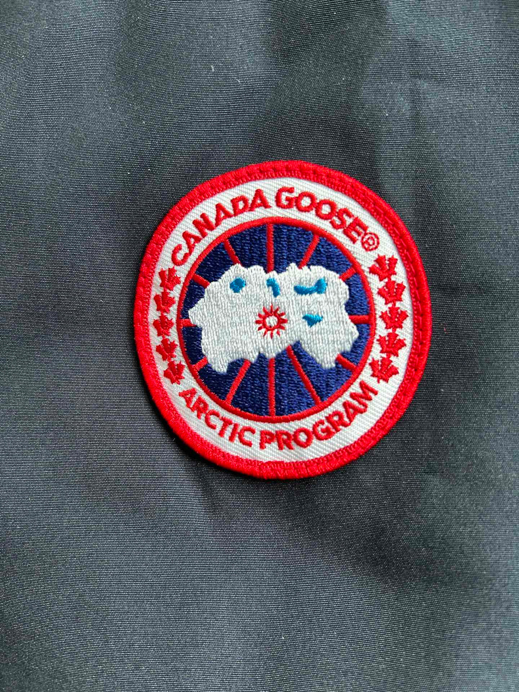 Canada Goose