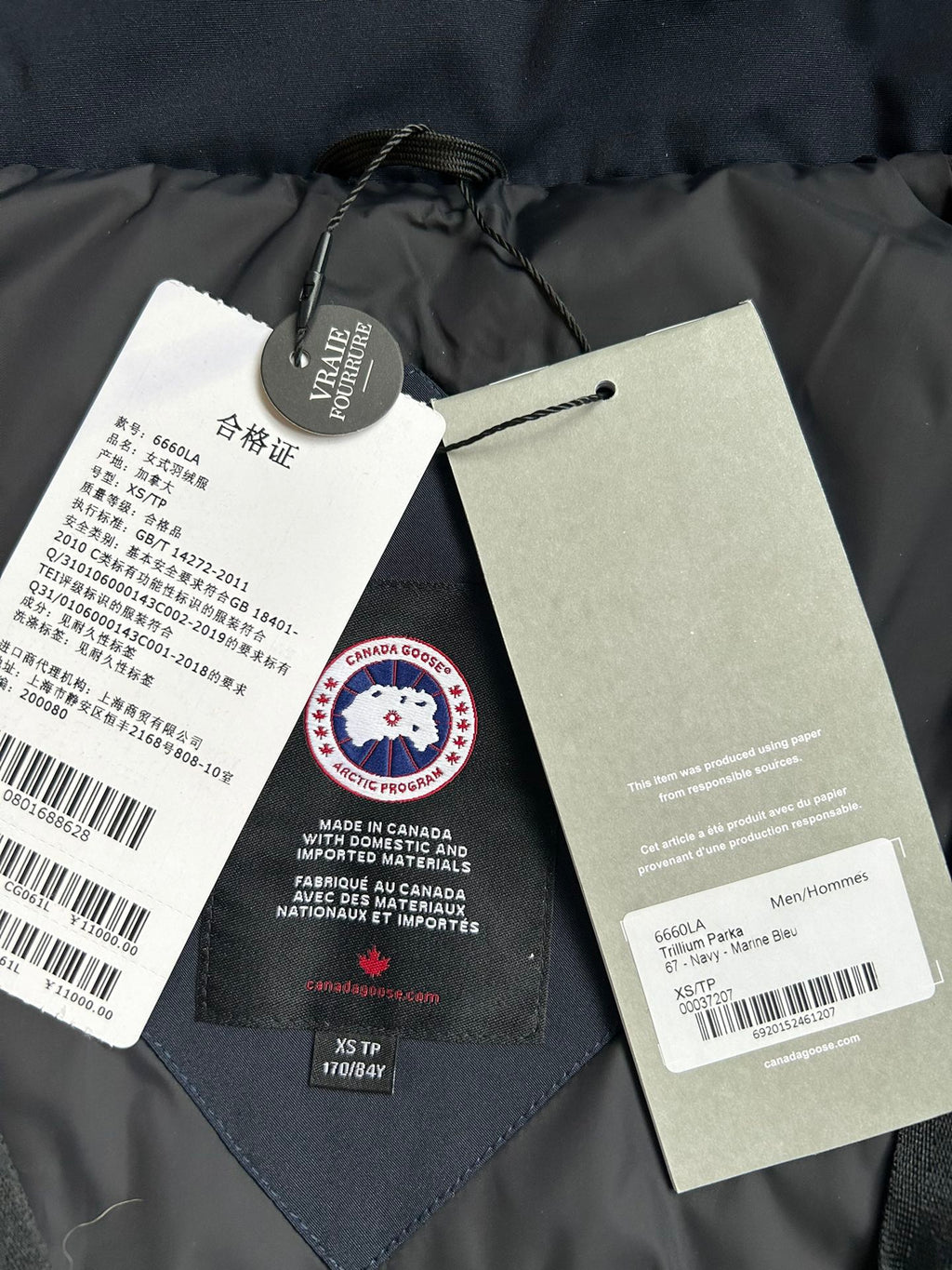Canada Goose