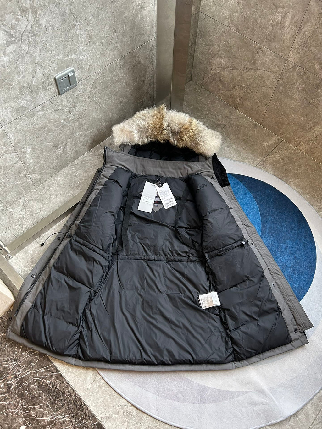 Canada Goose