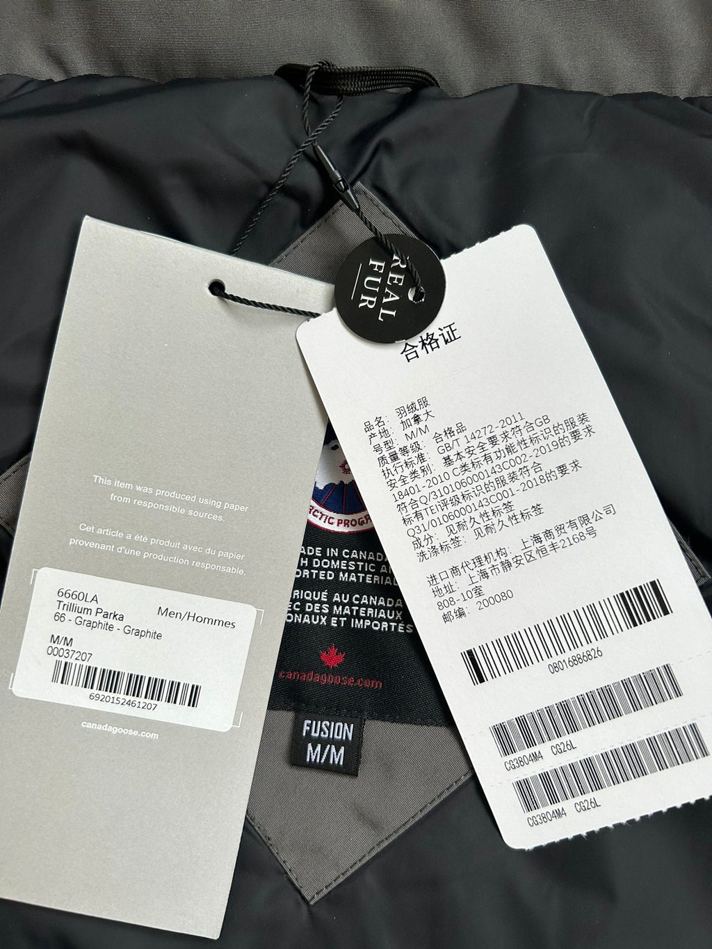 Canada Goose