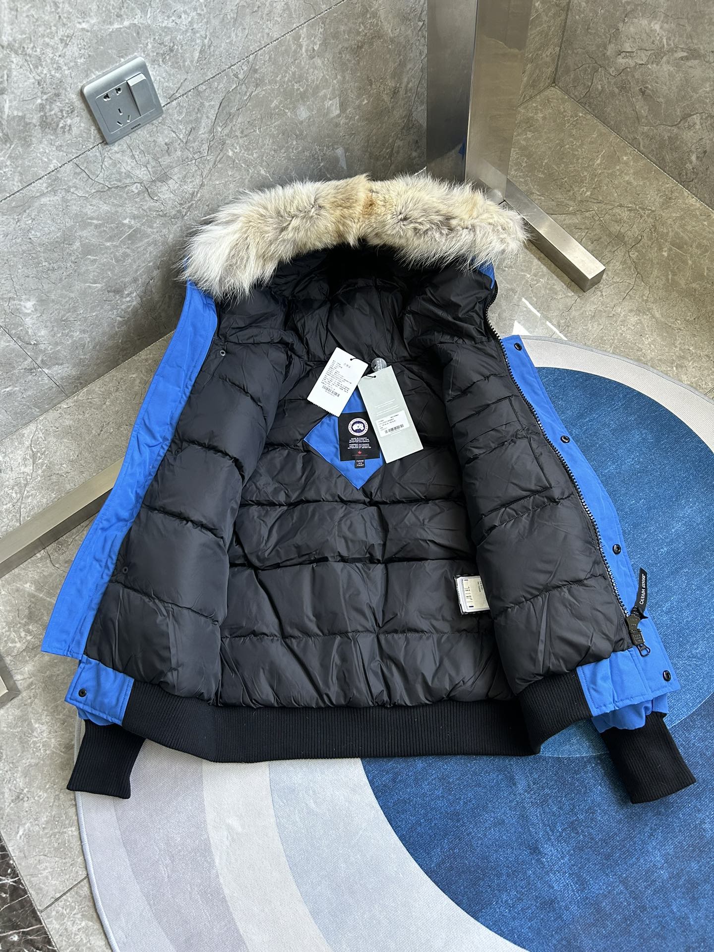 Canada Goose