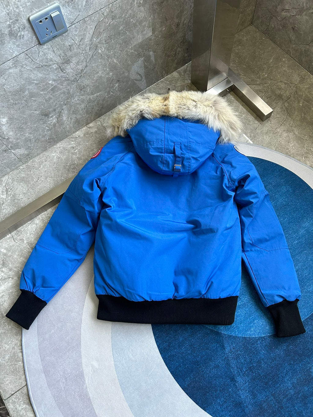 Canada Goose