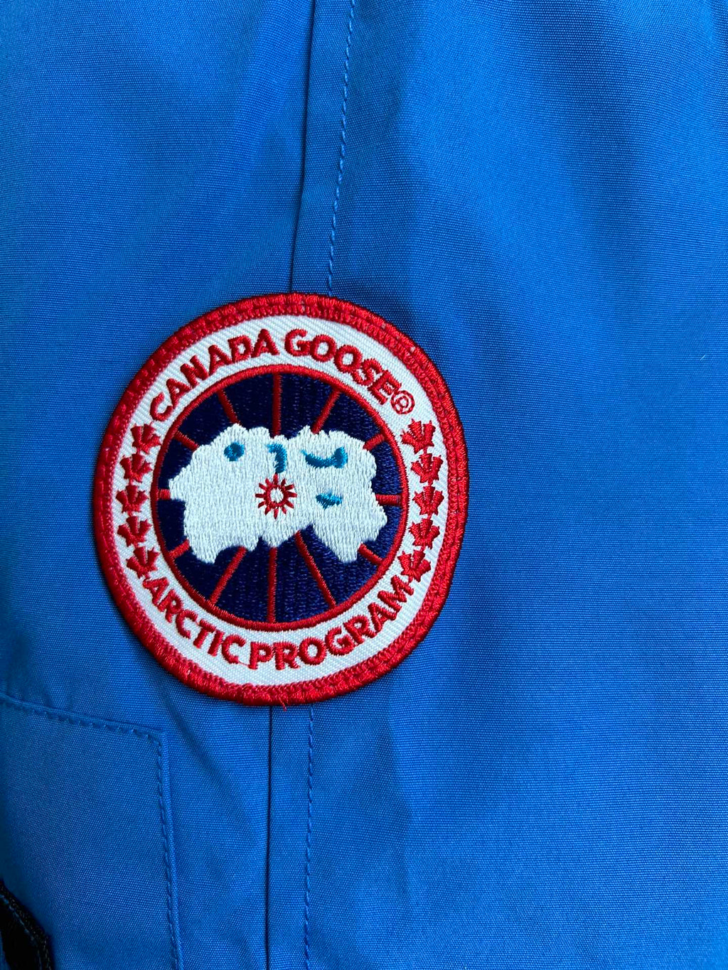 Canada Goose