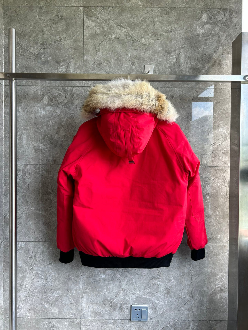 Canada Goose