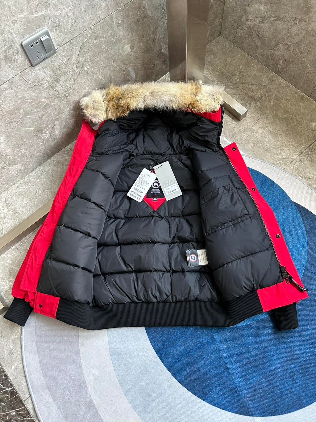 Canada Goose