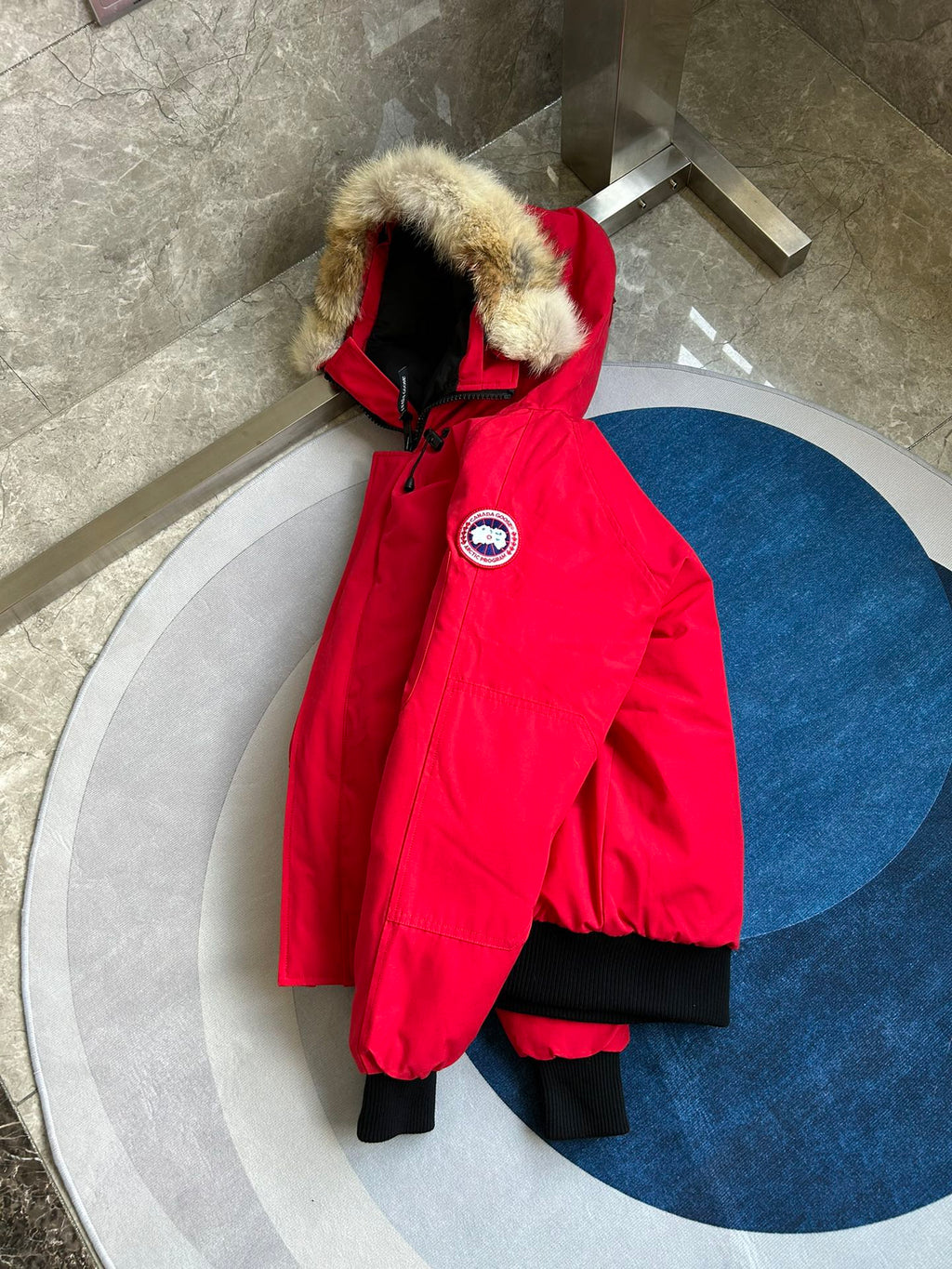 Canada Goose