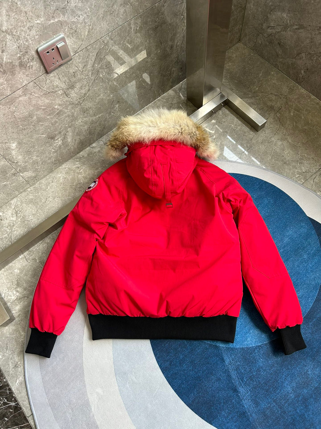 Canada Goose