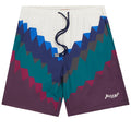 Missoni Logo Swimshorts