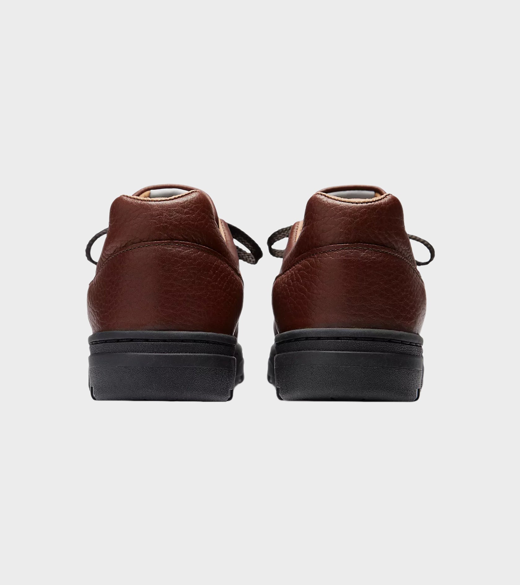Allerdale Tortoise Shell/Black Coffee/Black