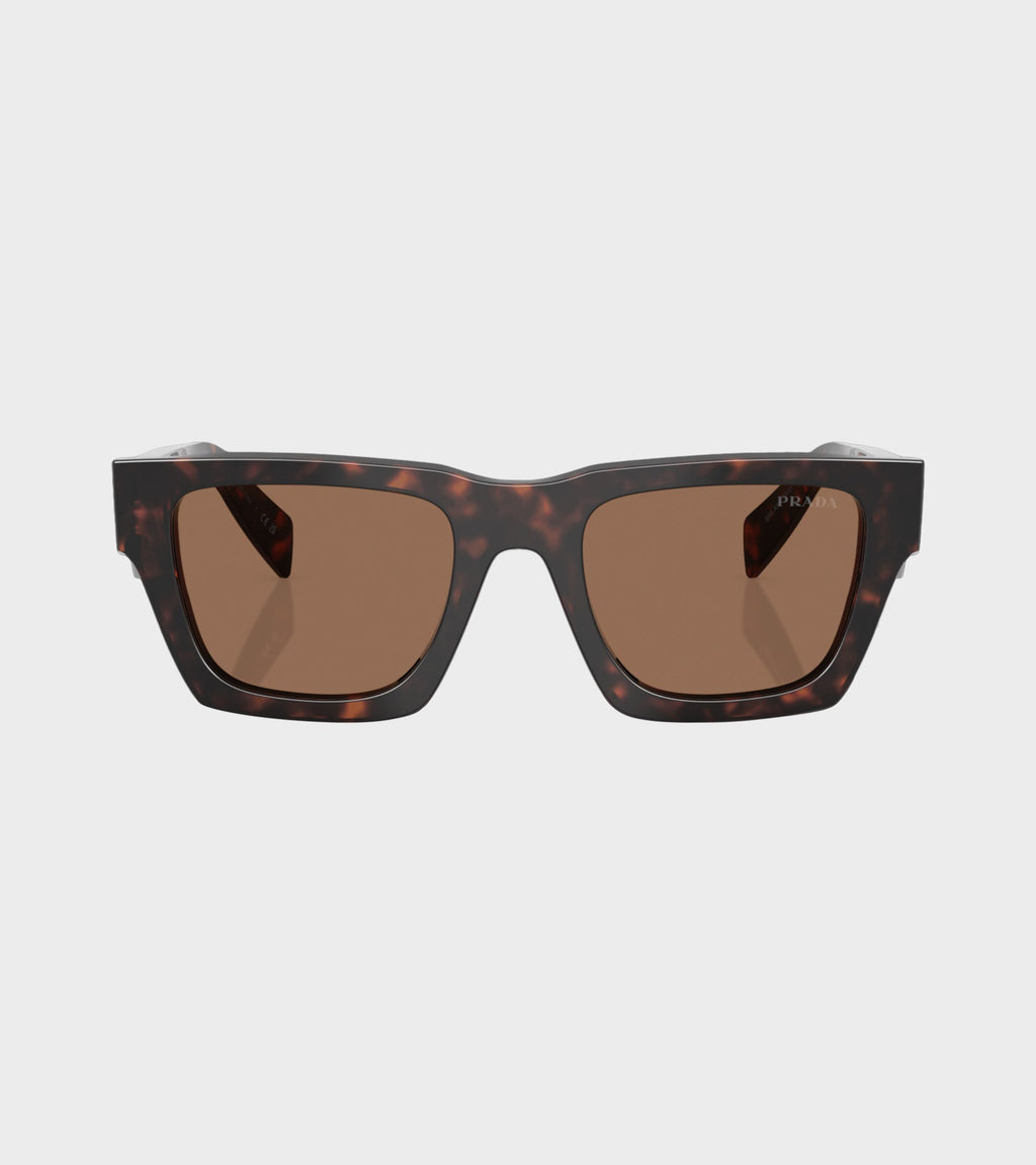 0PR A06S Root Tortoise/Dark Brown