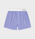 Serif Logo Boxer Blue Striped