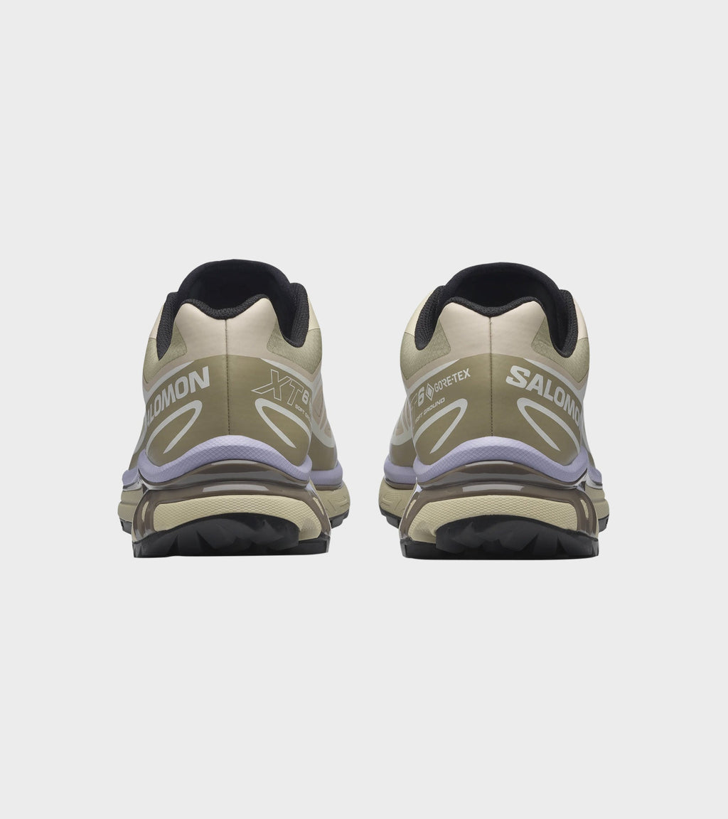 XT-6 Gore-tex Eucalyptus/Silver Sage/Cosmic Sky