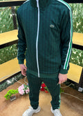 TUTA LACOSTE