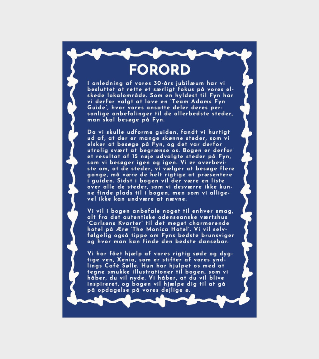 Fyn Guide By Team Adams