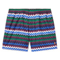 Missoni Logo Swimshorts